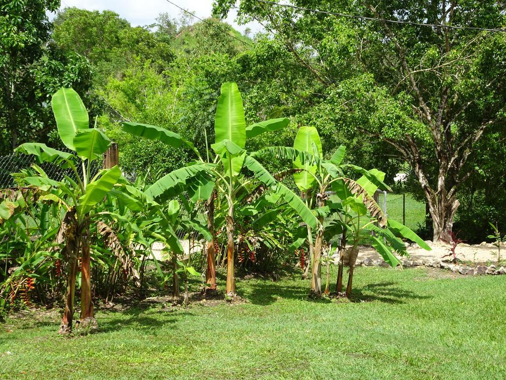 Maya Hill Lodge Black Man Eddy Exterior foto